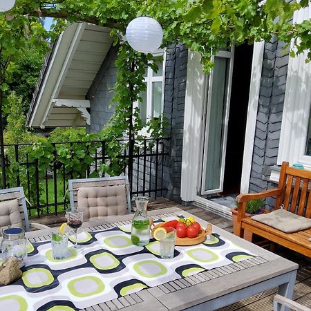 Fewo 110Qm Mit Balkon An Weser/Glacis/City Minden  Luaran gambar